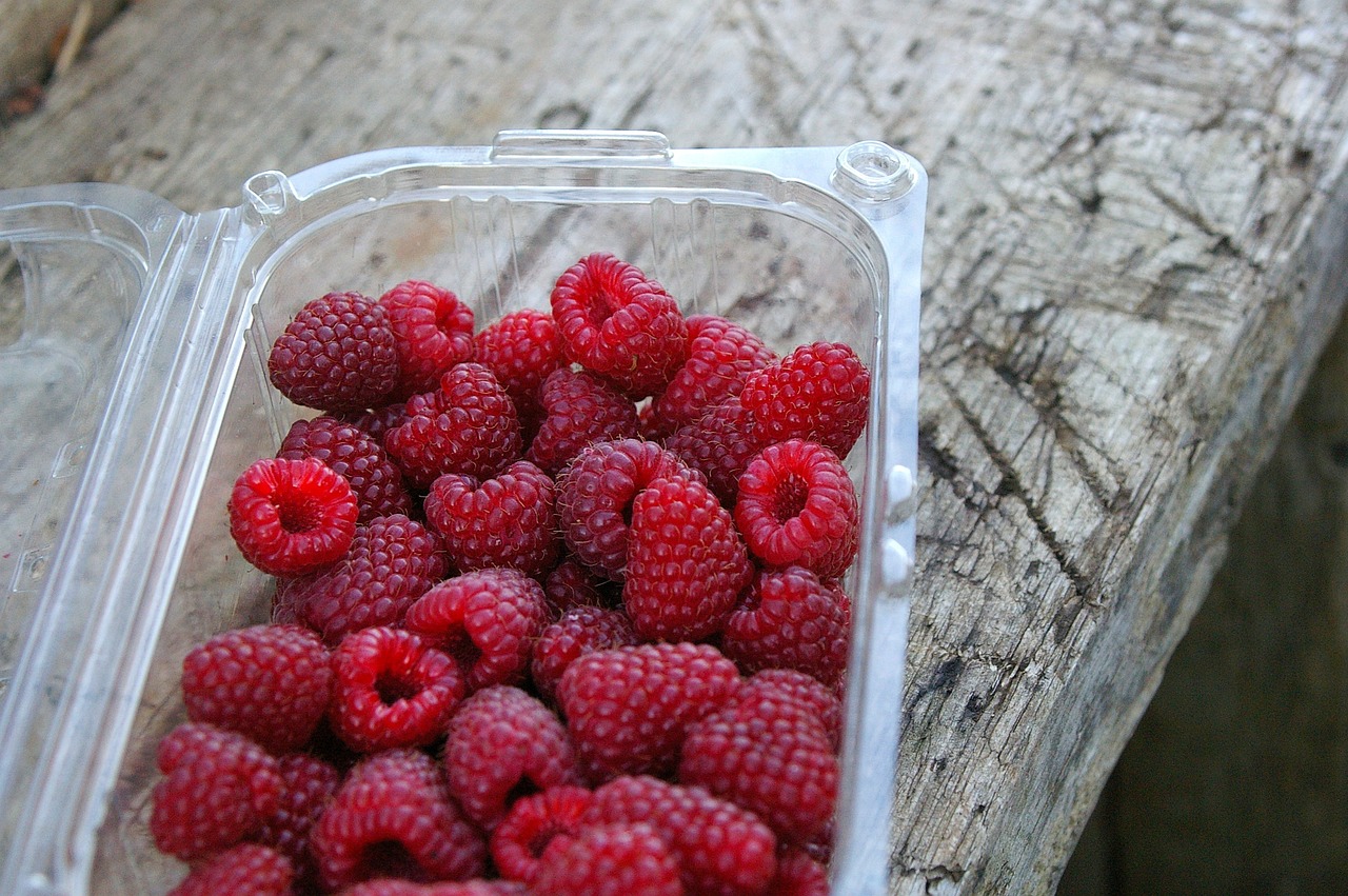 Trendy i innowacje w branży opakowań w regionie Wielkopolskim